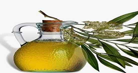 خواص اکالیپتوس برای سردرد و بخور اکالیپتوس برای درمان سردرد خواص اکالیپتوس برای سردرد ؛ بخور اکالیپتوس برای درمان سردرد