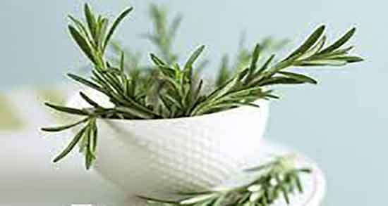 خواص اکلیل کوهی یا رزماری و فواید اکلیل کوهی برای پوست صورت خواص اکلیل کوهی یا رزماری ؛ فواید اکلیل کوهی برای پوست صورت