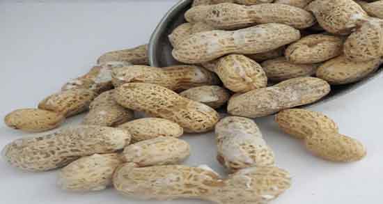 خواص بادام زمینی برای مردان و تاثیر مصرف بادام زمینی برای درمان اختلالات نعوظ خواص بادام زمینی برای مردان ؛ تاثیر مصرف بادام زمینی برای درمان اختلالات نعوظ