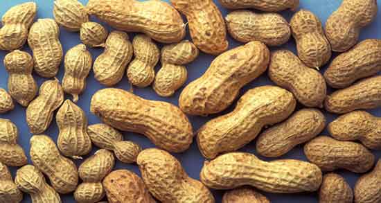 خواص بادام زمینی در بارداری و تاثیر مصرف بادام زمینی برای کاهش خطر ابتلا به دیابت بارداری خواص بادام زمینی در بارداری ؛ تاثیر مصرف بادام زمینی برای کاهش خطر ابتلا به دیابت بارداری