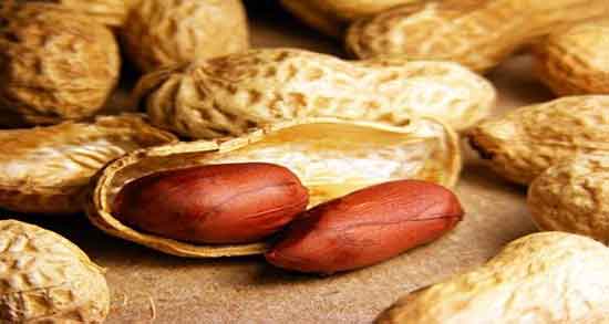 خواص بادام زمینی و یبوست و پیشگیری و درمان یبوست با مصرف بادام زمینی خواص بادام زمینی و یبوست ؛ پیشگیری و درمان یبوست با مصرف بادام زمینی