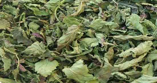 خواص بادرنجبویه برای پریود و ایا بادرنجبویه برای خونریزی پریودی مفیده خواص بادرنجبویه برای پریود ؛ ایا بادرنجبویه برای خونریزی پریودی مفیده