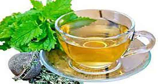 خواص بادرنجبویه در طب سنتی و فواید بادرنجبویه از نظر طب سنتی خواص بادرنجبویه در طب سنتی ؛ فواید بادرنجبویه از نظر طب سنتی