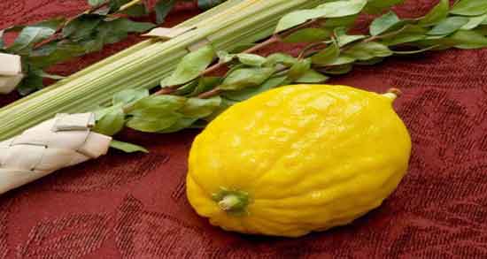 خواص بالنگ برای سرماخوردگی و ویتامین C موجود در بالنگ مفید برای سرماخوردگی خواص بالنگ برای سرماخوردگی ؛ ویتامین C موجود در بالنگ مفید برای سرماخوردگی