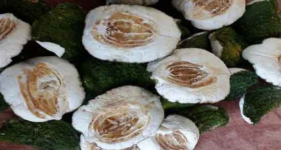 خواص بالنگ خشک شده و خواص بسیار زیاد خوردن بالنگ خشک شده برای سلامتی خواص بالنگ خشک شده ؛ خواص بسیار زیاد خوردن بالنگ خشک شده برای سلامتی