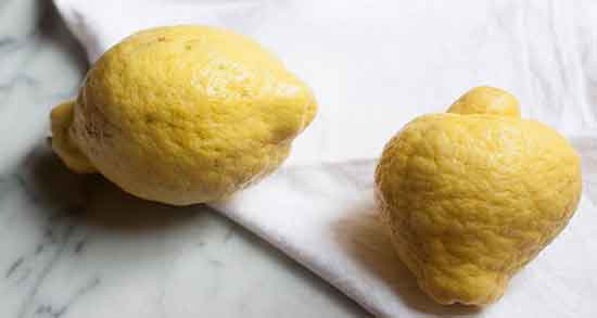 خواص بالنگ در بارداری و خوردن بالنگ چه خواصی برای زن باردار دارد خواص بالنگ در بارداری ؛ خوردن بالنگ چه خواصی برای زن باردار دارد