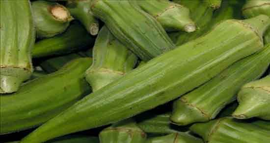 خواص بامیه برای مردان و خاصیت بامیه برای اسپرم سازی مردان خواص بامیه برای مردان ؛ خاصیت بامیه برای اسپرم سازی مردان