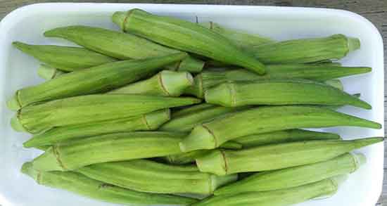 خواص بامیه در بارداری ؛ ایا بامیه در بارداری حالت تهوع را از بین میبرد خواص بامیه در بارداری ؛ ایا بامیه در بارداری حالت تهوع را از بین میبرد