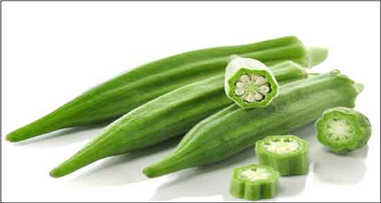 خواص بامیه و دیابت ؛ ایا خوردن بامیه برای قند خون بالا مفید است خواص بامیه و دیابت ؛ ایا خوردن بامیه برای قند خون بالا مفید است