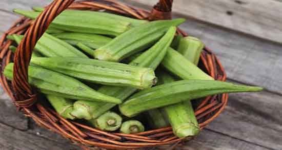 خواص بامیه و طبع آن و طبیعت مصرف بامیه برای بدن انسان چگونه است خواص بامیه و طبع آن ؛ طبیعت مصرف بامیه برای بدن انسان چگونه است