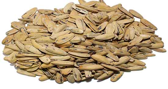 خواص تخمه آفتابگردان برای کبد ؛ فواید تخمه آفتابگردان برای کبد چرب خواص تخمه آفتابگردان برای کبد ؛ فواید تخمه آفتابگردان برای کبد چرب