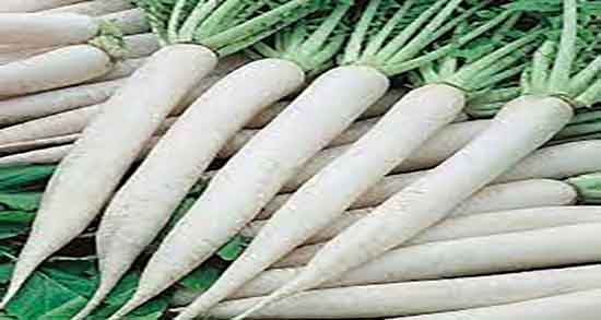 خواص ترب برای دیابت و ایا خوردن ترب برای کنترل دیابت مفیده یا نه خواص ترب برای دیابت ؛ ایا خوردن ترب برای کنترل دیابت مفیده یا نه