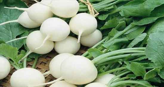 خواص ترب سفید برای زن باردار و فواید ترب سفید برای زنان حامله خواص ترب سفید برای زن باردار ؛ فواید ترب سفید برای زنان حامله