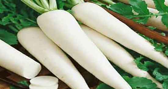 خواص ترب سفید برای سرماخوردگی ؛ درمان گلو درد با خوردن ترب سفید خواص ترب سفید برای سرماخوردگی ؛ درمان گلو درد با خوردن ترب سفید