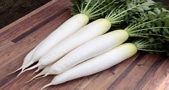 خواص ترب سفید برای سنگ کلیه ؛ فواید ترب سفید برای درمان سنگ کلیه خواص ترب سفید برای سنگ کلیه ؛ فواید ترب سفید برای درمان سنگ کلیه