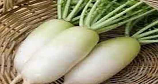 خواص ترب سفید در بارداری ؛ فواید خوردن ترب سفید در دوران حاملگی خواص ترب سفید در بارداری ؛ فواید خوردن ترب سفید در دوران حاملگی