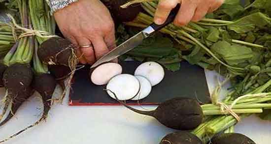 خواص ترب سیاه برای بدن ؛ ایا خوردن ترب سیاه برای بدن مفید است خواص ترب سیاه برای بدن ؛ ایا خوردن ترب سیاه برای بدن مفید است