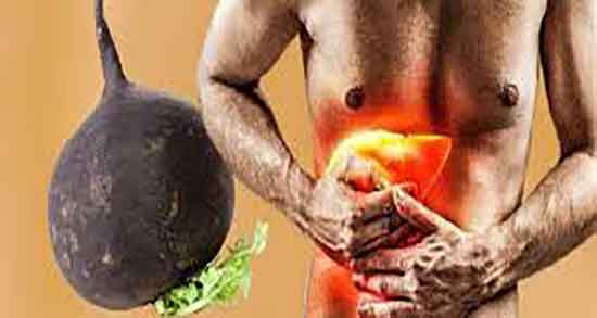 خواص ترب سیاه برای معده ؛ ایا خوردن ترب سیاه برای زخم معده مفیده خواص ترب سیاه برای معده ؛ ایا خوردن ترب سیاه برای زخم معده مفیده