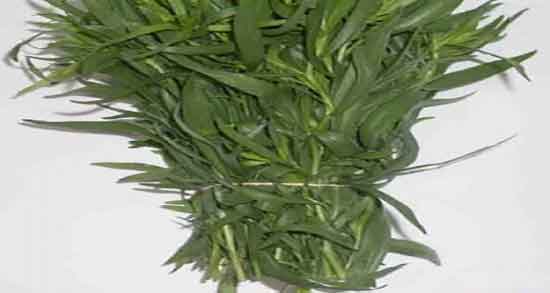 خواص ترخون برای قند خون و کنترل دیابت بارداری با دمنوش ترخون خواص ترخون برای قند خون ؛ کنترل دیابت بارداری با دمنوش ترخون