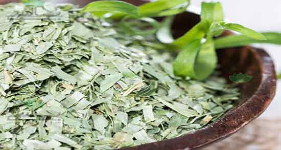 خواص ترخون در طب اسلامی و خوردن ترخون از نظر طب اسلامی چیست خواص ترخون در طب اسلامی ؛ خوردن ترخون از نظر طب اسلامی چیست