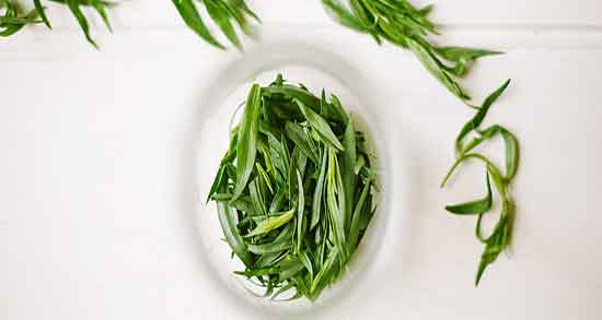 خواص ترخون در طب سنتی و فواید مصرف ترخون از نظر طب سنتی خواص ترخون در طب سنتی ؛ فواید مصرف ترخون از نظر طب سنتی