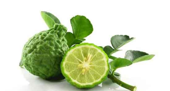 خواص ترنج در طب اسلامی و خاصیت درمانی خوردن ترنج از دیدگاه طب اسلامی خواص ترنج در طب اسلامی ؛ خاصیت درمانی خوردن ترنج از دیدگاه طب اسلامی