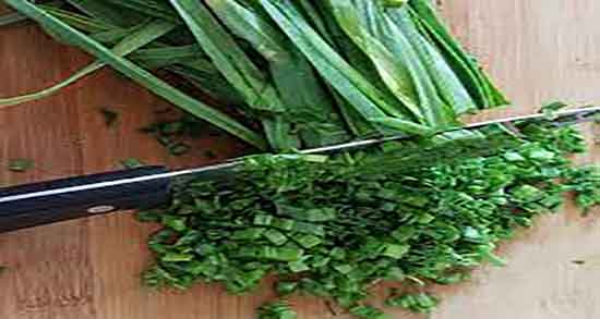 خواص تره برای مو و خاصیت مصرف تره برای تقویت ریشه موی سر خواص تره برای مو ؛ خاصیت مصرف تره برای تقویت ریشه موی سر