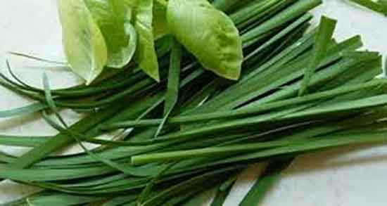 خواص تره برای کلیه ؛ ایا خوردن اب تره به دفع سنگ کلیه کمک میکند خواص تره برای کلیه ؛ ایا خوردن اب تره به دفع سنگ کلیه کمک میکند