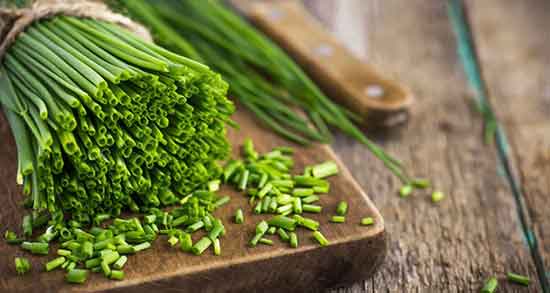 خواص تره خشک برای کبد و گوارش و تیروئید و کلیه و مو و رحم در طب سنتی خواص تره ؛ خشک برای کبد و گوارش و تیروئید و کلیه و مو و رحم در طب سنتی