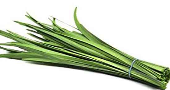 خواص تره در طب اسلامی و خاصیت مصرف تره از نظر طب اسلامی خواص تره در طب اسلامی ؛ خاصیت مصرف تره از نظر طب اسلامی