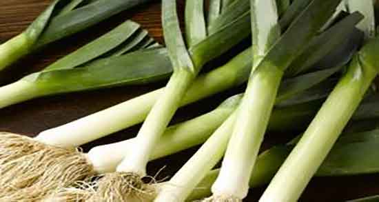 خواص تره فرنگی برای بواسیر و فواید مصرف تره فرنگی برای بواسیر خواص تره فرنگی برای بواسیر ؛ فواید مصرف تره فرنگی برای بواسیر