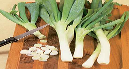 خواص تره فرنگی در طب اسلامی و خوردن تره فرنگی از نظر طب اسلامی خواص تره فرنگی در طب اسلامی ؛ خوردن تره فرنگی از نظر طب اسلامی