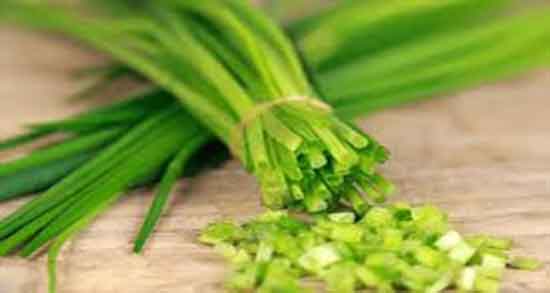 خواص تره فرنگی کوهی و فواید مصرف تره فرنگی کوهی برای بدن خواص تره فرنگی کوهی ؛ فواید مصرف تره فرنگی کوهی برای بدن