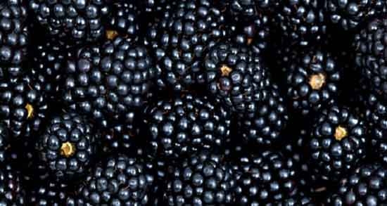 خواص تمشک برای صورت و از بین بردن لکه های صورت با ماسک تمشک خواص تمشک برای صورت ؛ از بین بردن لکه های صورت با ماسک تمشک