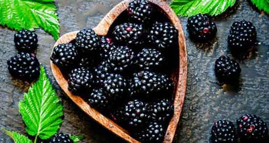 خواص تمشک برای لاغری و کاهش اشتها شده و کمک به لاغری با خوردن تمشک خواص تمشک برای لاغری ؛ کاهش اشتها شده و کمک به لاغری با خوردن تمشک