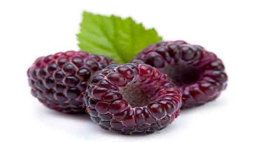 خواص تمشک برای کبد و فواید مصرف تمشک برای پاکسازی کبد از سموم خواص تمشک برای کبد ؛ فواید مصرف تمشک برای پاکسازی کبد از سموم