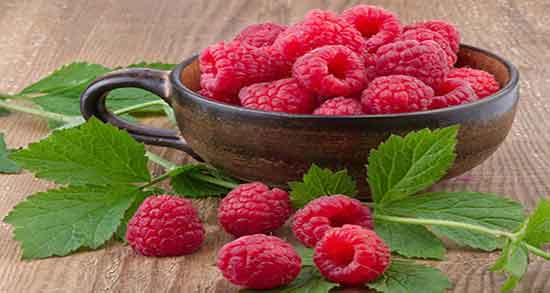 خواص تمشک برای کودکان و آشنایی با خاصیت خوردن تمشک برای سلامت کودک خواص تمشک برای کودکان ؛ آشنایی با خاصیت خوردن تمشک برای سلامت کودک