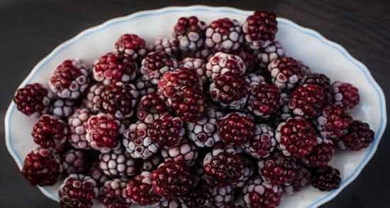 خواص تمشک خشک شده و آشنایی با خاصیت دارویی مصرف تمشک خشک شده برای سلامتی خواص تمشک خشک شده ؛ آشنایی با خاصیت دارویی مصرف تمشک خشک شده برای سلامتی