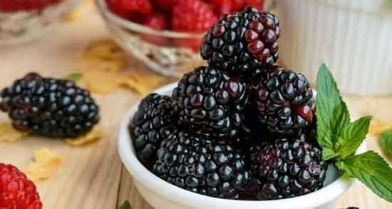 خواص تمشک مشکی و تقویت سیستم ایمنی بدن با خوردن تمشک مشکی خواص تمشک مشکی ؛ تقویت سیستم ایمنی بدن با خوردن تمشک مشکی