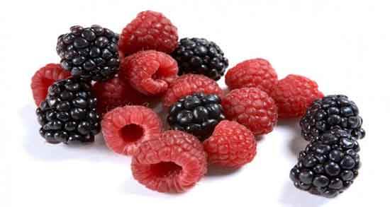 خواص تمشک وحشی و پیشگیری از دیابت و سلامت پوست با خوردن تمشک وحشی خواص تمشک وحشی ؛ پیشگیری از دیابت و سلامت پوست با خوردن تمشک وحشی