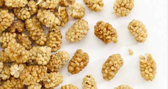 خواص توت خشک سفید ؛ درمان بیماری ها با خوردن توت خشک سفید خواص توت خشک سفید ؛ درمان بیماری ها با خوردن توت خشک سفید