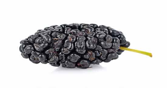 خواص توت سیاه برای زن باردار ؛ آشنایی خواص و فواید توت سیاه برای دوران بارداری خواص توت سیاه برای زن باردار ؛ آشنایی خواص و فواید توت سیاه برای دوران بارداری