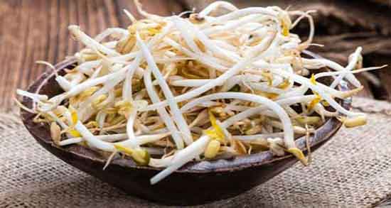 خواص جوانه لوبیا ؛ قرمز و چشم بلبلی و عکس جوانه لوبیا قرمز خواص جوانه لوبیا ؛ قرمز و چشم بلبلی و عکس جوانه لوبیا قرمز