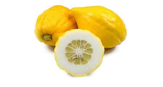 خواص دانه بالنگ و آشنایی با خواص درمانی دانه بالنگ خواص دانه بالنگ ؛ آشنایی با خواص درمانی دانه بالنگ