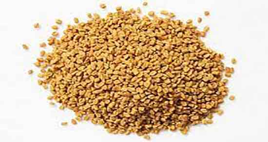 خواص دانه شنبلیله برای لاغری و فواید دانه شنبلیله برای چربی بدن خواص دانه شنبلیله برای لاغری ؛ فواید دانه شنبلیله برای چربی بدن