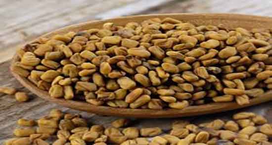 خواص دانه شنبلیله برای پوست و دانه شنبلیله برای تقویت پوست و مو خواص دانه شنبلیله برای پوست ؛ دانه شنبلیله برای تقویت پوست و مو