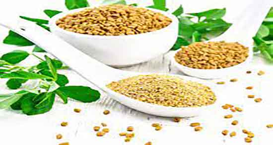 خواص دانه شنبلیله چیست و فواید دانه شنبلیله از نظر طب سنتی چیست خواص دانه شنبلیله چیست ؛ فواید دانه شنبلیله از نظر طب سنتی چیست