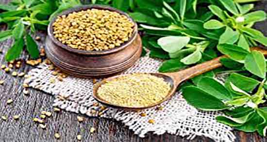 خواص درمانی دانه شنبلیله و ایا مصرف دانه شنبلیله خواص دارویی دارد خواص درمانی دانه شنبلیله ؛ ایا مصرف دانه شنبلیله خواص دارویی دارد