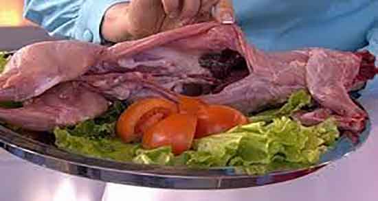 خواص درمانی زهره خرگوش و ایا مصرف زهره خرگوش برای انسان مفیده خواص درمانی زهره خرگوش ؛ ایا مصرف زهره خرگوش برای انسان مفیده