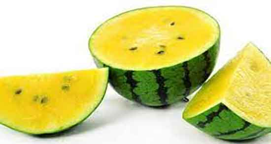 خواص درمانی هندوانه زرد و ایا خوردن هندوانه زرد خواص دارویی دارد خواص درمانی هندوانه زرد ؛ ایا خوردن هندوانه زرد خواص دارویی دارد